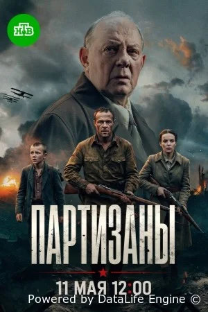 Партизаны